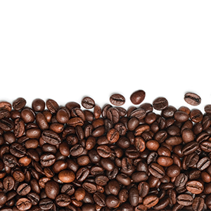 The Whole Bean