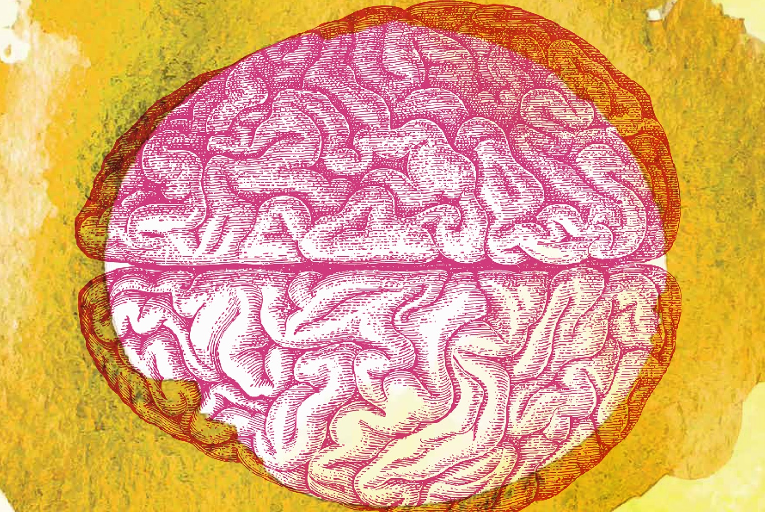 Breaking the Blood-Brain Barrier