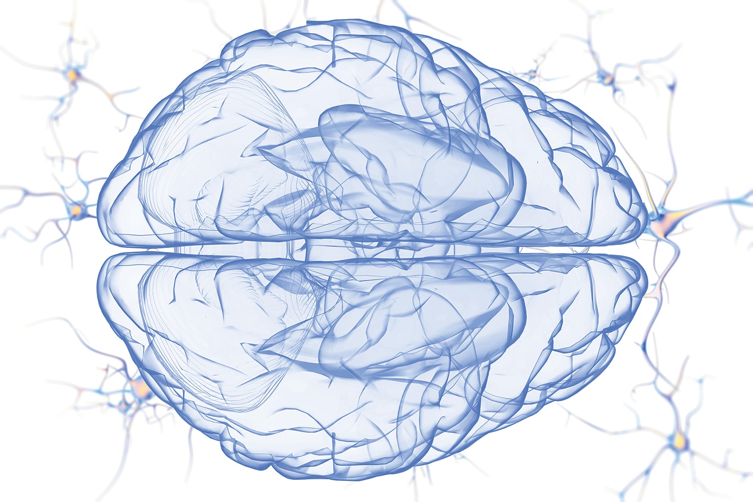 Targeting Brain Cancer