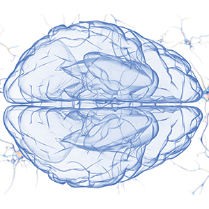 Targeting Brain Cancer