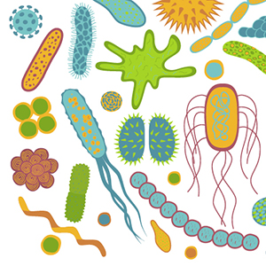 Banking on Bacteria