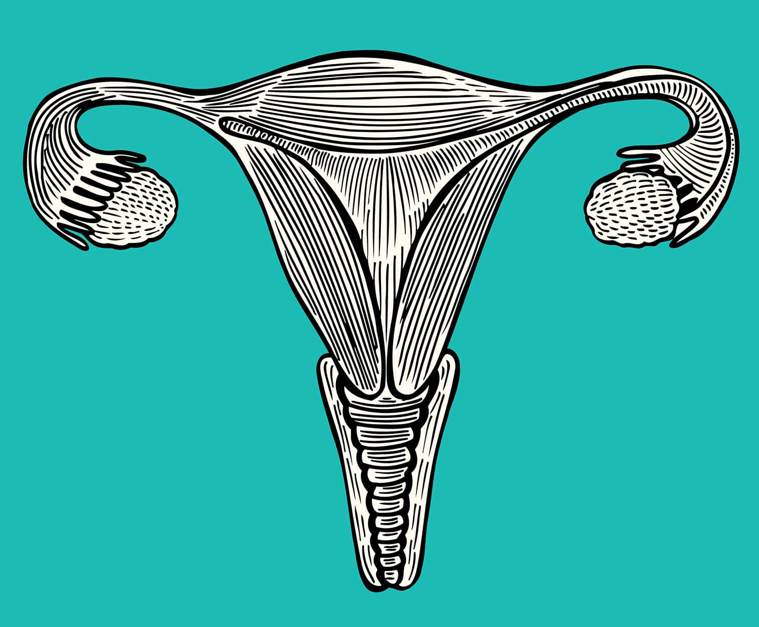 A New Guideline for Cervical Cancer Screening