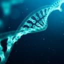 What You Need to Know About DNA Testing