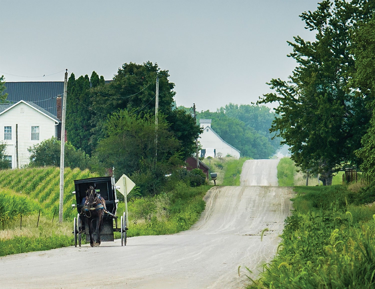 Cancer and the Amish