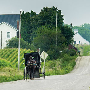 Cancer and the Amish