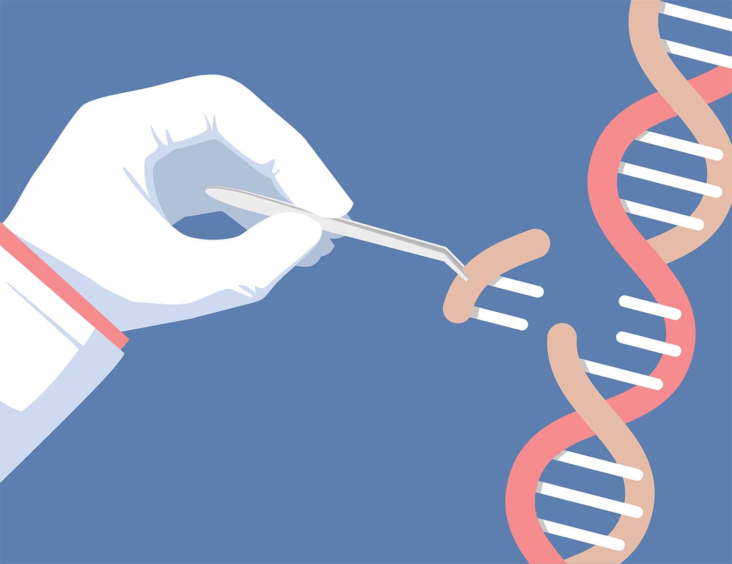 The Promise of CRISPR