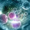 September 13: The Week in Cancer News