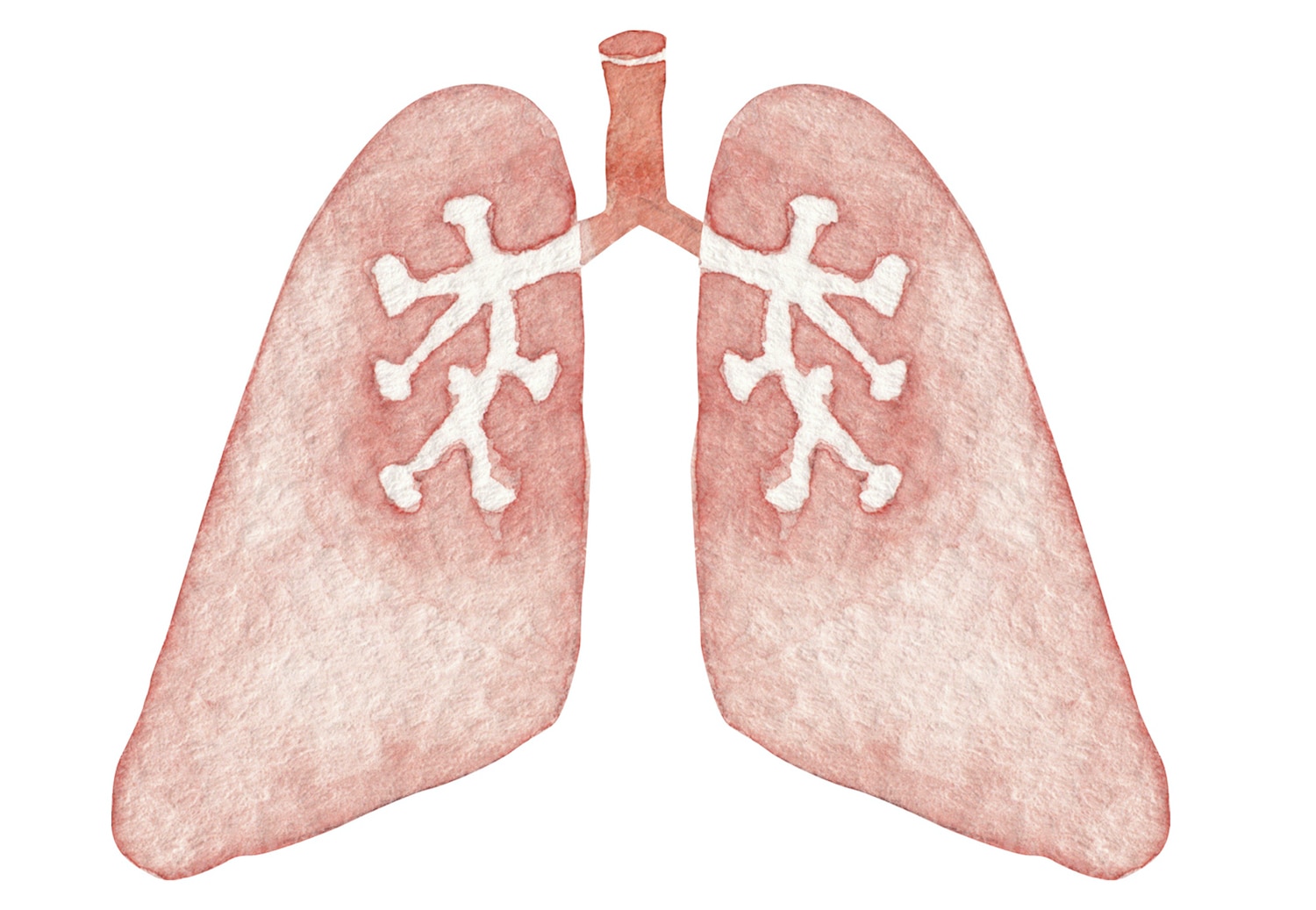 Targeted Therapy for Early-Stage Lung Cancer?