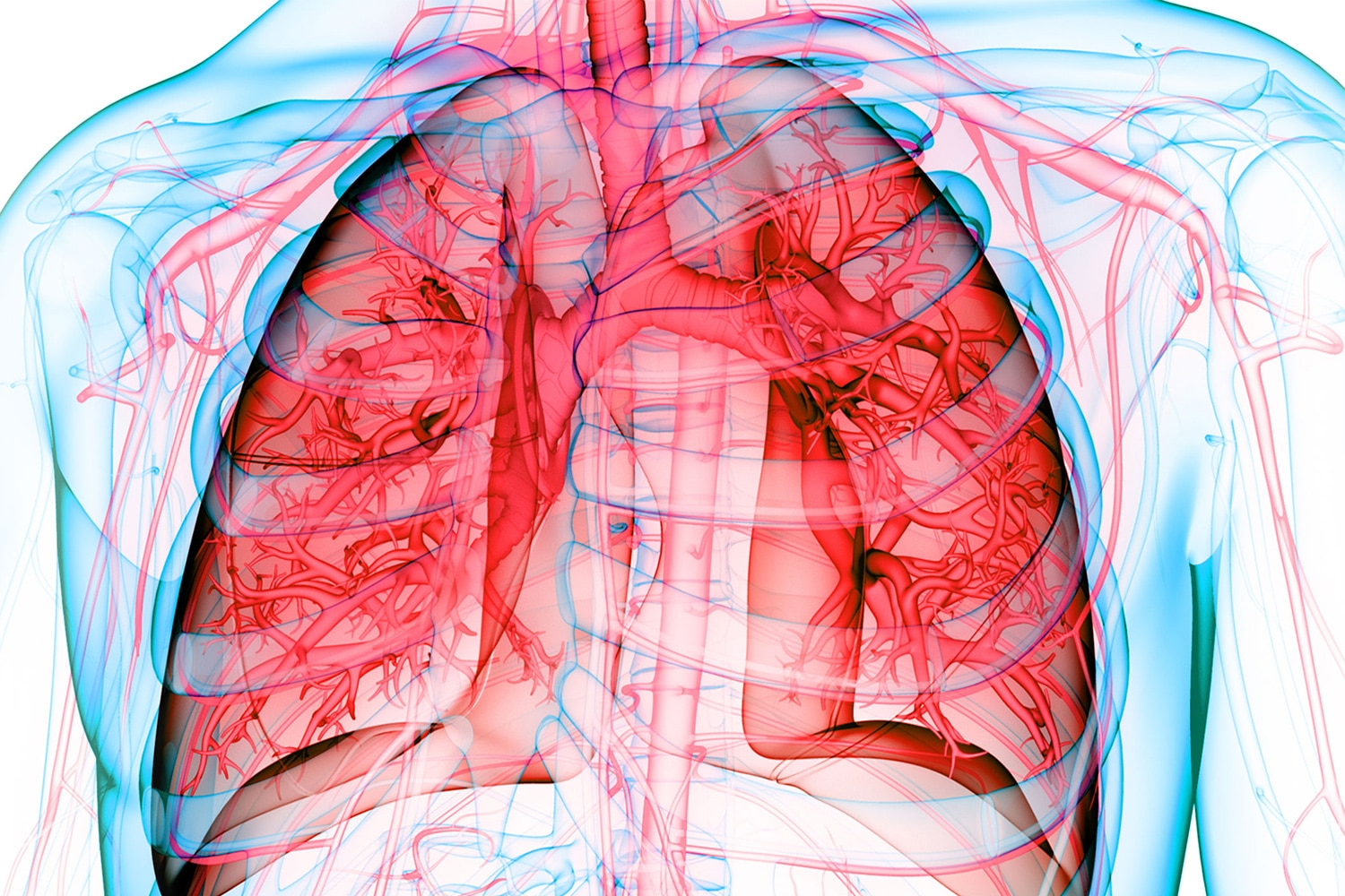 Looking Closely at Lung Cancer