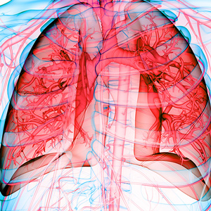 Looking Closely at Lung Cancer