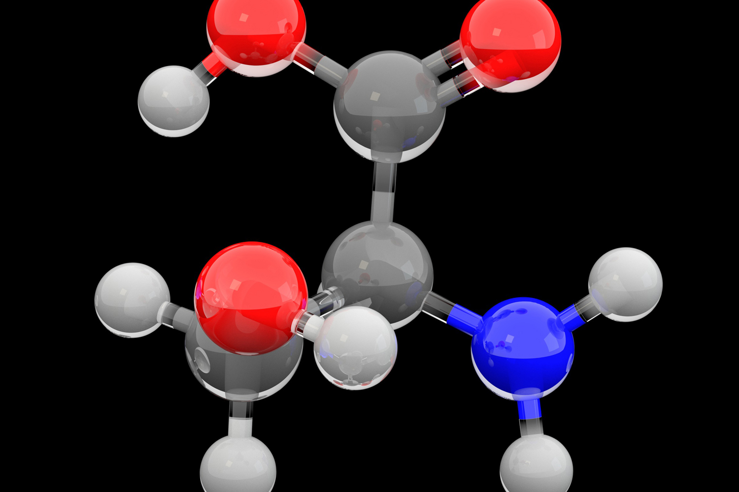 Exploring Amino Acids’ Impact on Tumor Growth