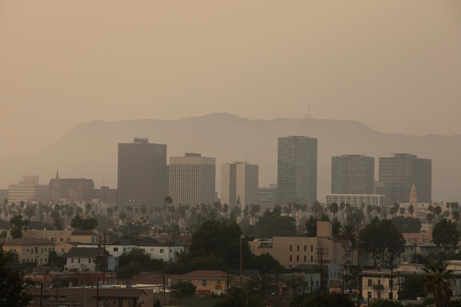 Lung Cancer Patients Face Worse Survival After Wildfire Exposure