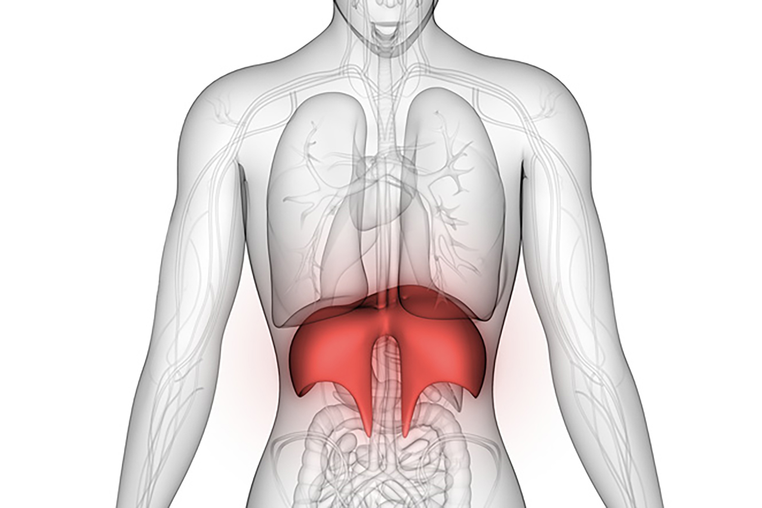 Diaphragm Disturbances