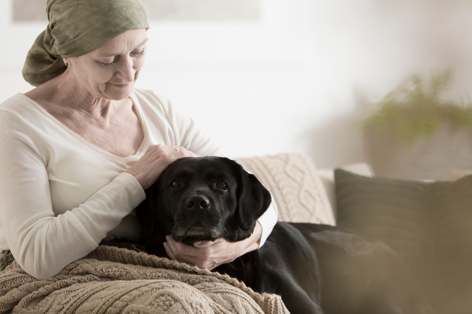 Can people with cancer be around pets during treatment?