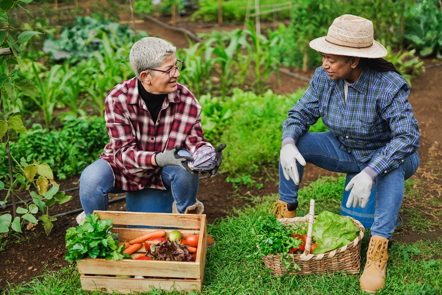 Tending Your Garden