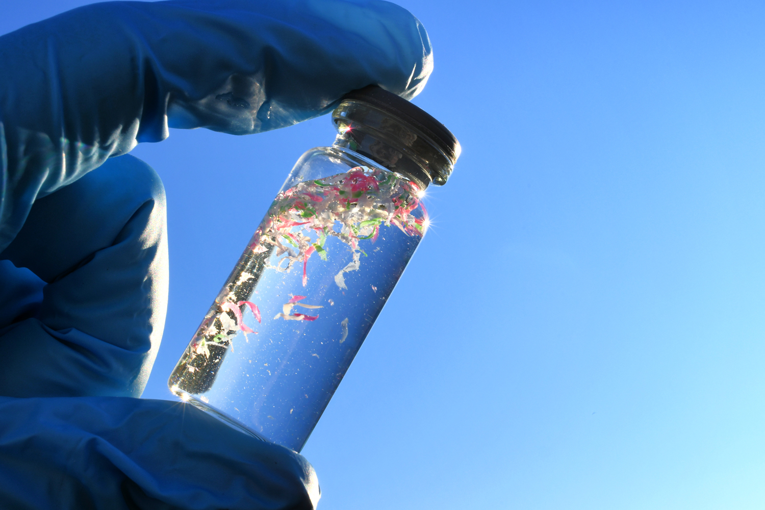 February 27: The Week in Cancer News