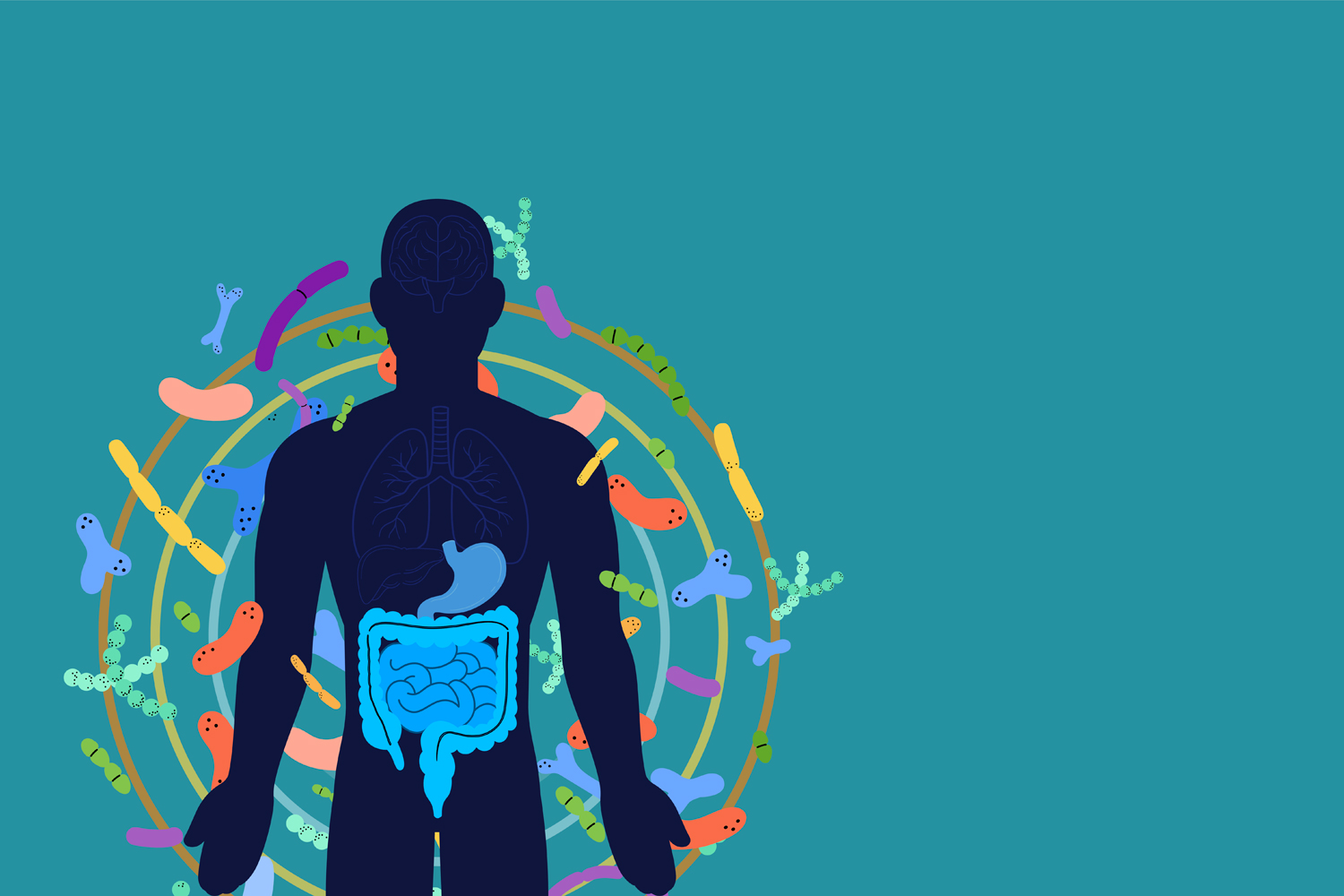 The Gut Microbiome
