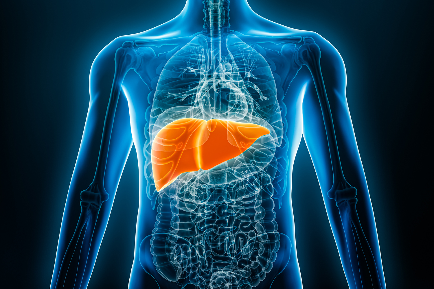 Ways to Prevent Liver Cancer