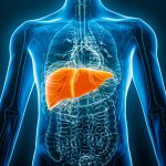 Ways to Prevent Liver Cancer