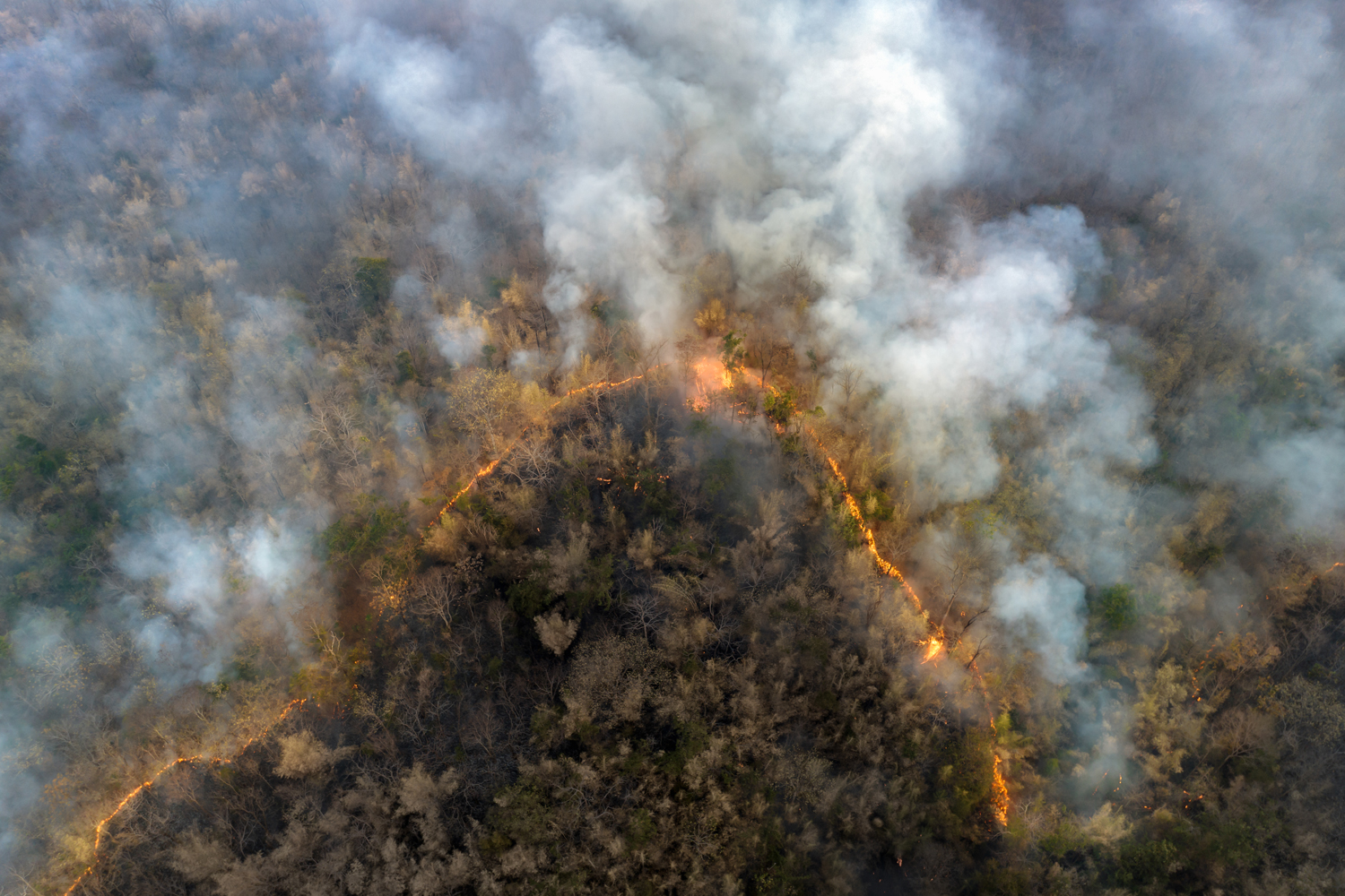 Wildfire Smoke Exposure Linked to Increased Cancer Risk