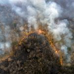 Wildfire Smoke Exposure Linked to Increased Cancer Risk