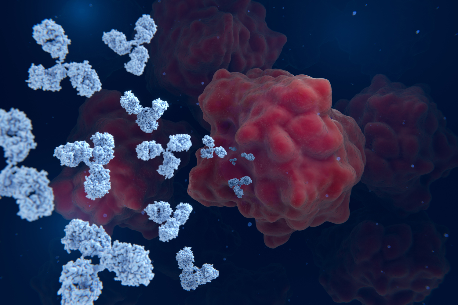 The Week in Cancer News: HER2-targeted Therapy and Blood Clot Prevention