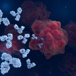 The Week in Cancer News: HER2-targeted Therapy and Blood Clot Prevention