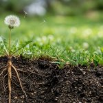 Turning Resistance Into Opportunity