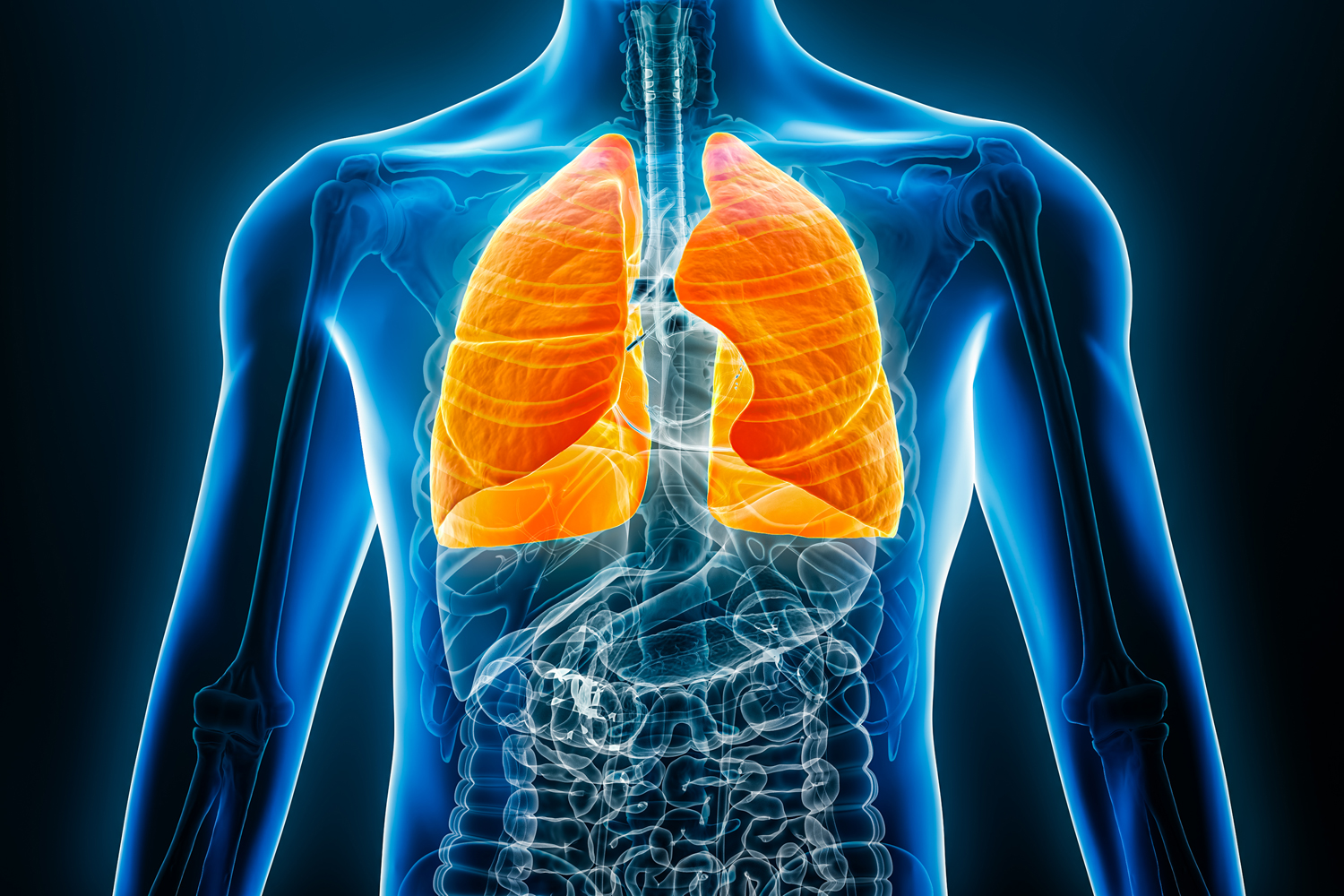 The Week in Cancer News: Transplants for Lung Cancer
