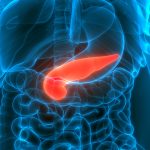 The Week in Cancer News: Vaccine to Intercept Pancreatic Cancer