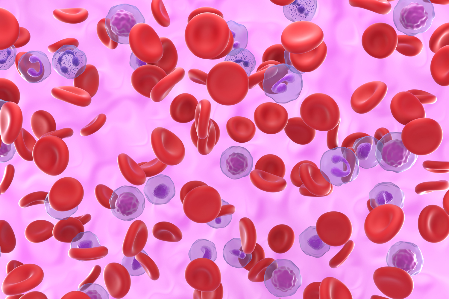 The Week in Cancer News: Treating Rare Blood Cancers